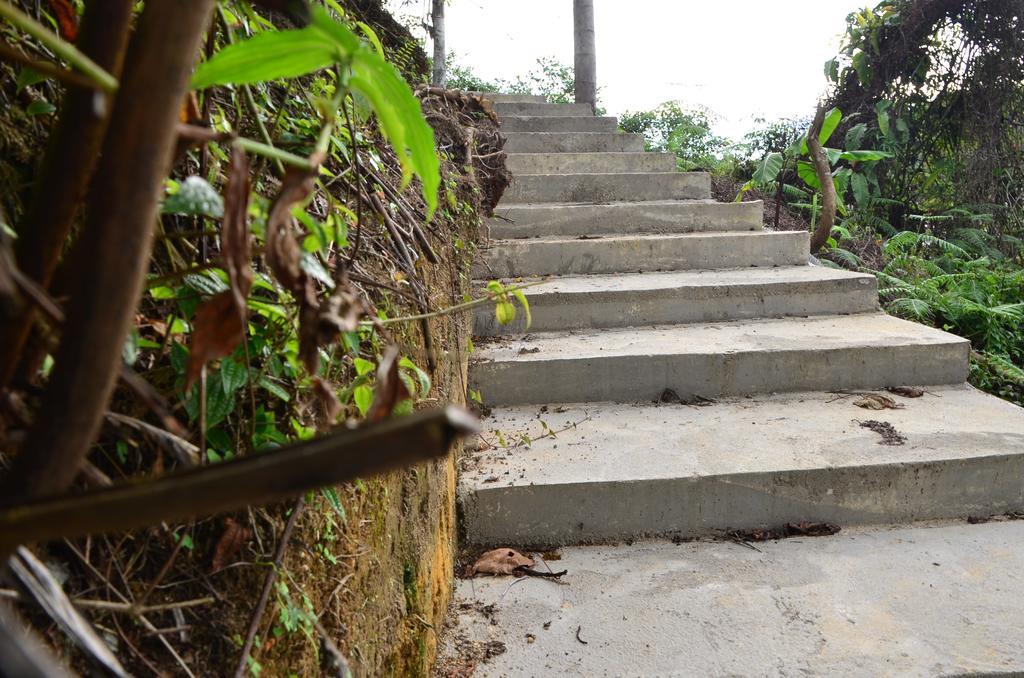 The Woodz Homestay Tanah Rata Dış mekan fotoğraf