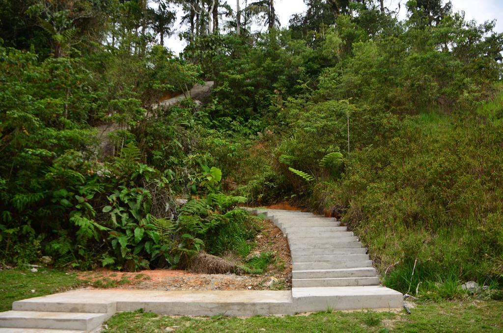 The Woodz Homestay Tanah Rata Dış mekan fotoğraf