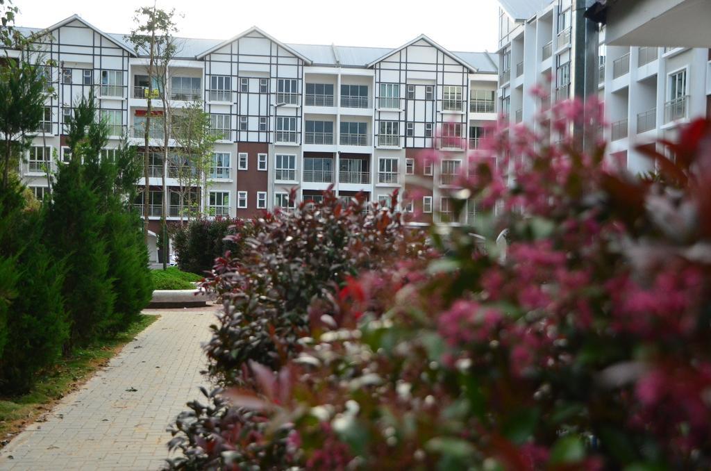 The Woodz Homestay Tanah Rata Dış mekan fotoğraf